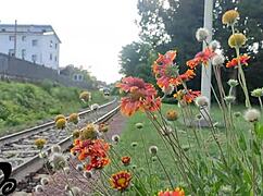 Back from Trip, Oiled Cock Massage Turns into Wild Fuck