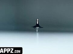 stepbros swap stepsis for deepthroat blowjobs ending in hot facials swappz style