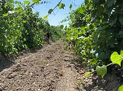 hey did i tell you i caught that farm hooligan and assfucked her doggystyle outdoors?