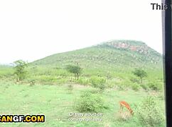 imagine this ebony babe's sloppy throat fucked on safari pov road head