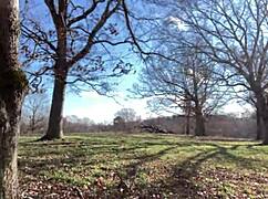 ever caught a sexy solo clitlicker flashing wet pussy orgasm in forest update?