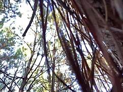 ever caught a sexy solo clitlicker flashing wet pussy orgasm in forest update?