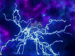 cruella naked gets first anal creampie from luna rival ffm 🔥🍑