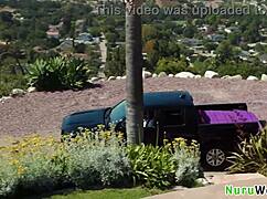 lacey jayne james angel nuru big tits ass call?