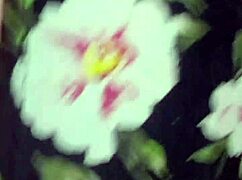 beauty morganita's tight ass gapes on brazil's biggest cock atm