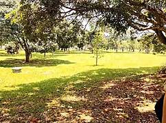 she shows off ass in public spots and takes it bareback til she pees cumming hard