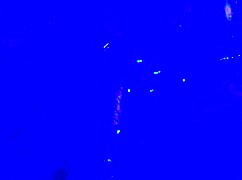 a girl gets her face roughly fucked in a crowded nightclub after teasing