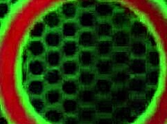 cleo and puma's hot lesbian pool licking turns into wild milf pussy play outdoors