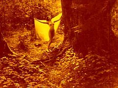 Classic Vintage Erotic Illustration Of Hairy Retro Lesbian Scenes