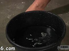 ready for a bondage blowjob contest where pretty hottie sucks cock for facial domination win?