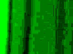 stepbro, it's your lucky day with jodie johnson and scarlett page