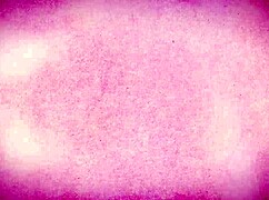 Horny Stepson Pounds Big Titted Stepmom Julia Robbie Right in Front of Friend!