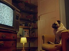 damn liz ocean's curvy ass tits massage leads to pink pussy blowjob 😍🍑