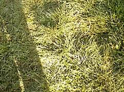 dei flores pra vizinha e ela me agradeceu com um boquete molhado até gozar!