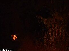 sexy bbw ebony final girl gets captured, choked and fucked hard by masked slasher on halloween