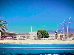 pov i'm that stoic dude living excellence tryna meditate in park