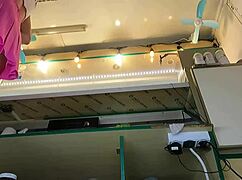 Super cute teen caught on hidden voyeur upskirt cam at work