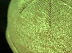 picking up wife post guy meet in car ride home