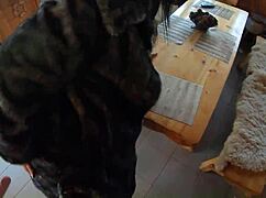 Wife teases impotent husband's friends in fur coat preview