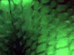 big booty wife grinds and shakes ass seductively on camera