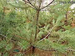 wanna see my pussy grip his cock tight before he cums in my panties? wet milf homemade pov