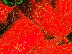 Cum-Hungry BBW Wife Moans in Ecstasy Swallowing Every Thick Drop Amateur Blowjob Part 3