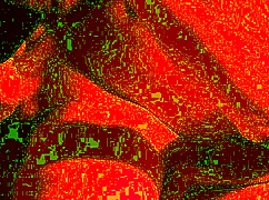 Cum-Hungry BBW Wife Moans in Ecstasy Swallowing Every Thick Drop Amateur Blowjob Part 3