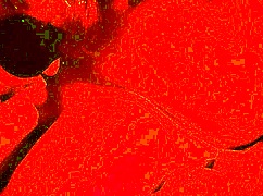 Cum-Hungry BBW Wife Moans in Ecstasy Swallowing Every Thick Drop Amateur Blowjob Part 3