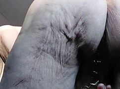 german granny oma rams huge dildo deep into hairy wet beaver pussy