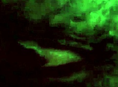 my ex girlfriend's tight pussy feels amazing during sex 😊