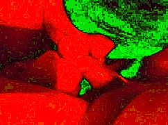 bbw wife sucks cock deep while stroking hard in red light