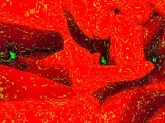 bbw wife sucks cock deep while stroking hard in red light