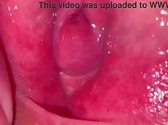 Amateur Wife's Pink Pussy Close-Up 275 Days Post-Virginity Loss!
