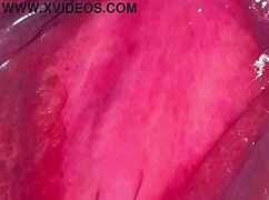 Amateur Wife's Pink Pussy Close-Up 275 Days Post-Virginity Loss!