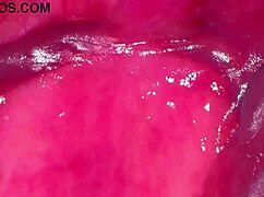 Amateur Wife's Pink Pussy Close-Up 275 Days Post-Virginity Loss!