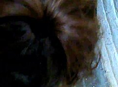 cum back stockton head master mstrymn36 for more milf cum vids