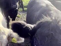 i am a country girl finding peace soaking sun in nature