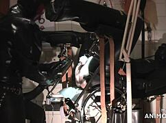 Rubbernurse Agnes Pegs Clinic Slave With Massive Meter-Long Dildo Until Ball Cream Squirts Out