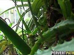 imagine spying this tattoo slut getting fucked hard outdoors like a public whore