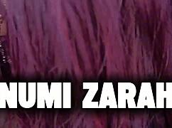 Numi Zarah's exotic tits and juicy ass make perfect interracial pounding