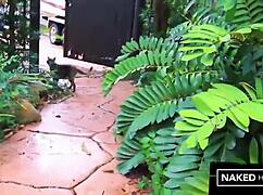 bbc cages this juicy brazilian big ass pussy slut for doggystyle