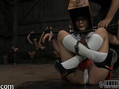 you into free bound sluts getting wrecked?