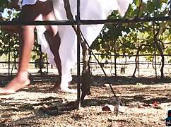 hey check shasta wonder this ebony african milf with big natural tits stripping outdoors 😍🍈🌳 teasing every curve