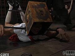 you into free bound sluts getting wrecked?