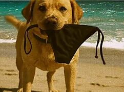 whoops lucy's nude beach day turns into total enf embarrassment 😳🏖️