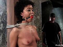 Bound Ebony Lesbians Choke and Ride Sybians in BDSM Orgy Pain!