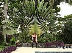 Shemale tgirl stunner endures hard crossdressing gangbang cock action! 🍆🔥