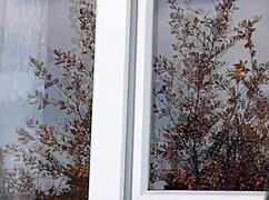 hot milf flashes big natural tits hairy pussy in taxi cleans window naked outdoors