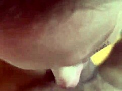 alineflavio's homemade update from july 6 shows blonde milf bent over doggystyle orgasming hard