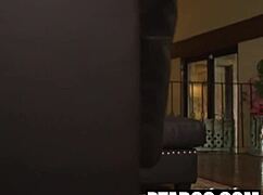 wanna turn your family pet tommy into aria sloane's taboo plaything?